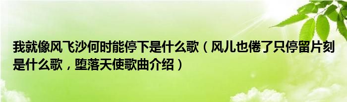 我就像风飞沙何时能停下是什么歌（风儿也倦了只停留片刻是什么歌，堕落天使歌曲介绍）