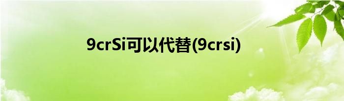9crSi可以代替(9crsi)