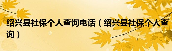绍兴县社保个人查询电话（绍兴县社保个人查询）
