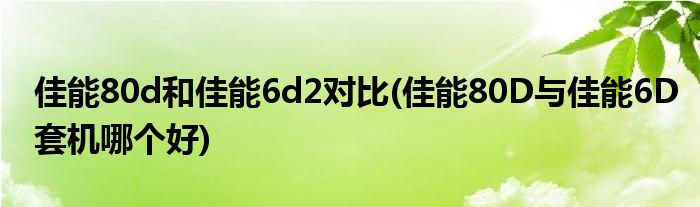 佳能80d和佳能6d2对比(佳能80D与佳能6D套机哪个好)