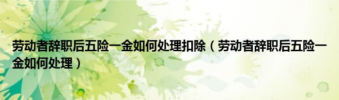 劳动者辞职后五险一金如何处理扣除（劳动者辞职后五险一金如何处理）