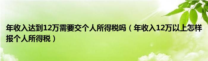 年收入达到12万需要交个人所得税吗（年收入12万以上怎样报个人所得税）