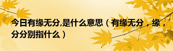 今日有缘无分,是什么意思（有缘无分，缘，分分别指什么）