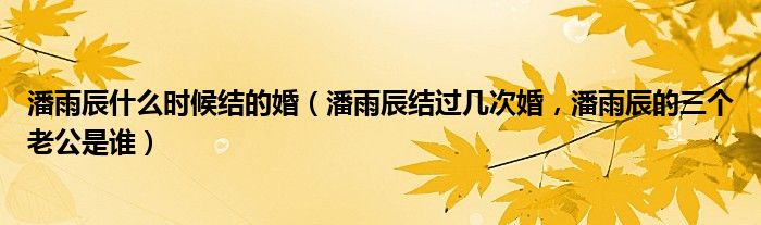 潘雨辰什么时候结的婚（潘雨辰结过几次婚，潘雨辰的三个老公是谁）