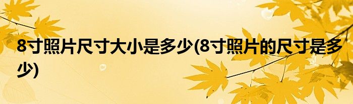 8寸照片尺寸大小是多少(8寸照片的尺寸是多少)