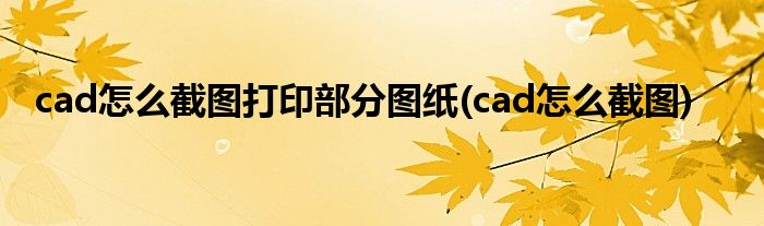 cad怎么截图打印部分图纸(cad怎么截图)