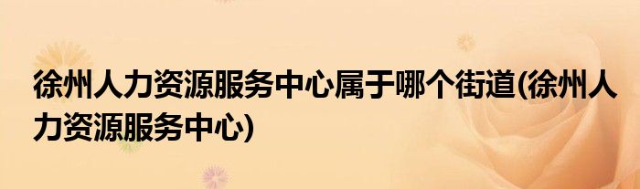徐州人力资源服务中心属于哪个街道(徐州人力资源服务中心)