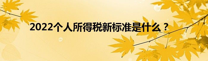 2022个人所得税新标准是什么？