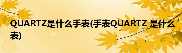 QUARTZ是什么手表(手表QUARTZ 是什么表)