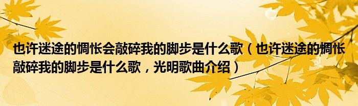 也许迷途的惆怅会敲碎我的脚步是什么歌（也许迷途的惆怅敲碎我的脚步是什么歌，光明歌曲介绍）