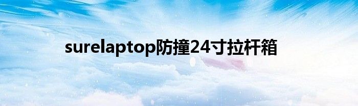 surelaptop防撞24寸拉杆箱
