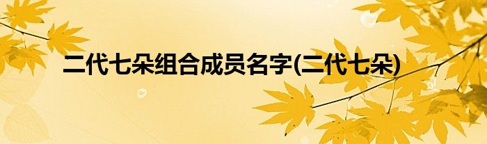 二代七朵组合成员名字(二代七朵)