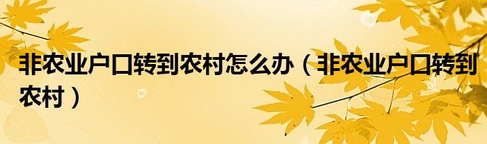 非农业户口转到农村怎么办（非农业户口转到农村）