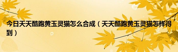 今日天天酷跑黄玉灵猫怎么合成（天天酷跑黄玉灵猫怎样得到）