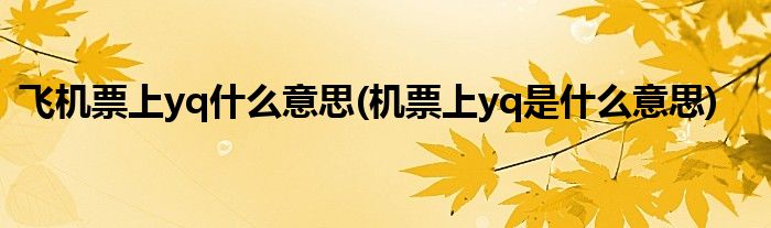 飞机票上yq什么意思(机票上yq是什么意思)