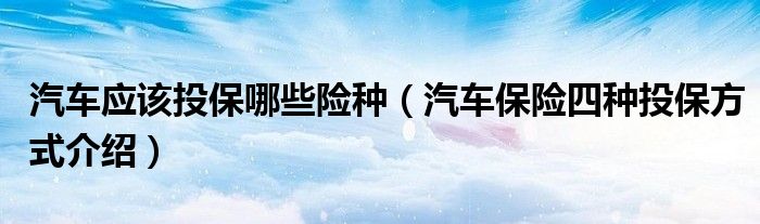 汽车应该投保哪些险种（汽车保险四种投保方式介绍）