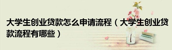 大学生创业贷款怎么申请流程（大学生创业贷款流程有哪些）