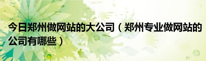 今日郑州做网站的大公司（郑州专业做网站的公司有哪些）