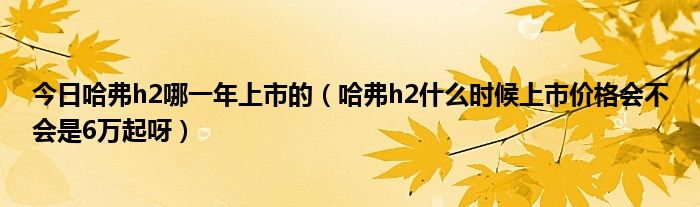 今日哈弗h2哪一年上市的（哈弗h2什么时候上市价格会不会是6万起呀）