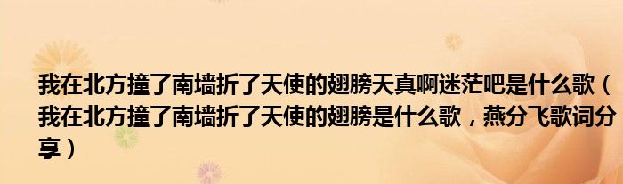 我在北方撞了南墙折了天使的翅膀天真啊迷茫吧是什么歌（我在北方撞了南墙折了天使的翅膀是什么歌，燕分飞歌词分享）