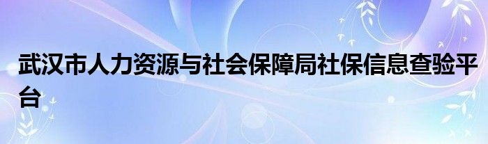 武汉市人力资源与社会保障局社保信息查验平台