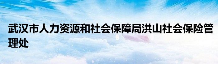 武汉市人力资源和社会保障局洪山社会保险管理处