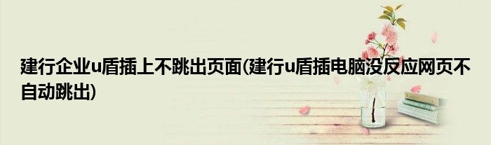 建行企业u盾插上不跳出页面(建行u盾插电脑没反应网页不自动跳出)