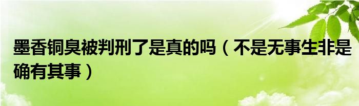 墨香铜臭被判刑了是真的吗（不是无事生非是确有其事）