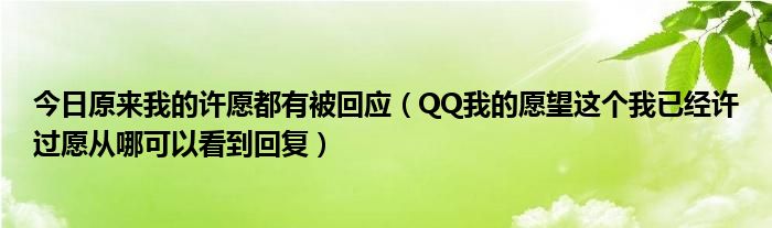 今日原来我的许愿都有被回应（QQ我的愿望这个我已经许过愿从哪可以看到回复）