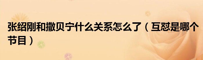 张绍刚和撒贝宁什么关系怎么了（互怼是哪个节目）