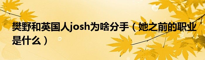 樊野和英国人josh为啥分手（她之前的职业是什么）