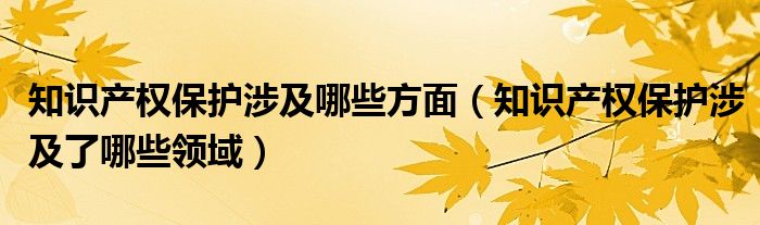 知识产权保护涉及哪些方面（知识产权保护涉及了哪些领域）