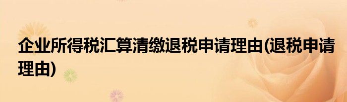 企业所得税汇算清缴退税申请理由(退税申请理由)