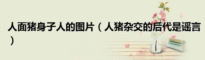 人面猪身子人的图片（人猪杂交的后代是谣言）