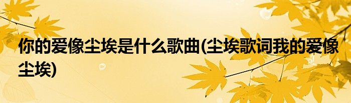 你的爱像尘埃是什么歌曲(尘埃歌词我的爱像尘埃)