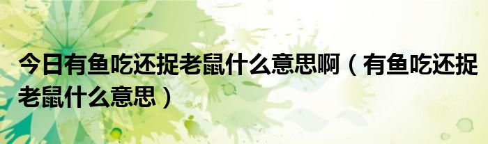 今日有鱼吃还捉老鼠什么意思啊（有鱼吃还捉老鼠什么意思）