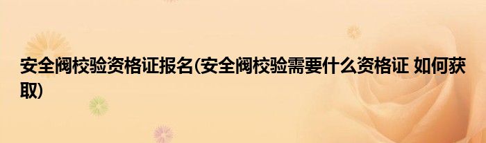 安全阀校验资格证报名(安全阀校验需要什么资格证 如何获取)