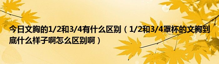 今日文胸的1/2和3/4有什么区别（1/2和3/4罩杯的文胸到底什么样子啊怎么区别啊）