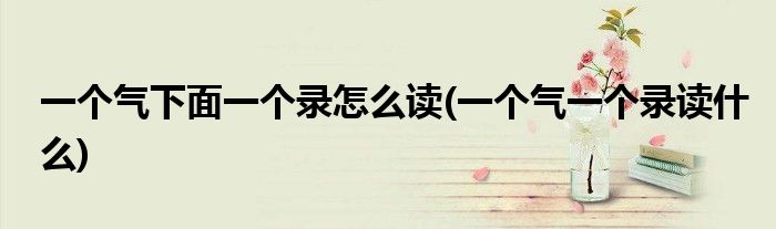 一个气下面一个录怎么读(一个气一个录读什么)