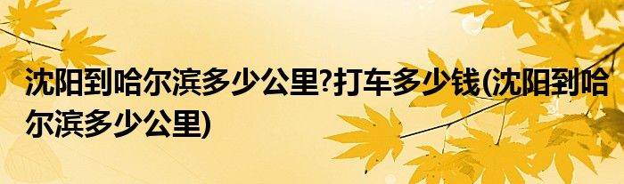 沈阳到哈尔滨多少公里?打车多少钱(沈阳到哈尔滨多少公里)