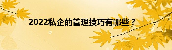 2022私企的管理技巧有哪些？