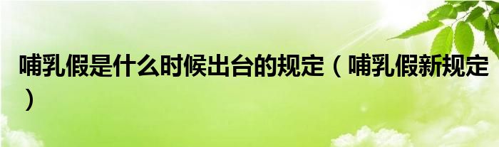 哺乳假是什么时候出台的规定（哺乳假新规定）