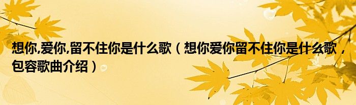 想你,爱你,留不住你是什么歌（想你爱你留不住你是什么歌，包容歌曲介绍）