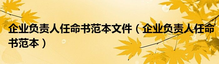 企业负责人任命书范本文件（企业负责人任命书范本）