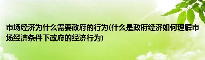 市场经济为什么需要政府的行为(什么是政府经济如何理解市场经济条件下政府的经济行为)