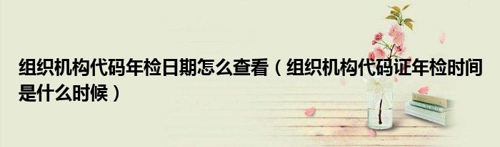 组织机构代码年检日期怎么查看（组织机构代码证年检时间是什么时候）
