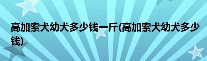 高加索犬幼犬多少钱一斤(高加索犬幼犬多少钱)