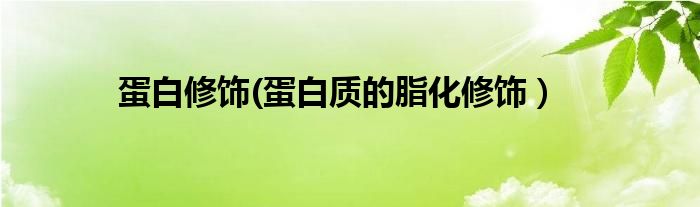 蛋白修饰(蛋白质的脂化修饰）
