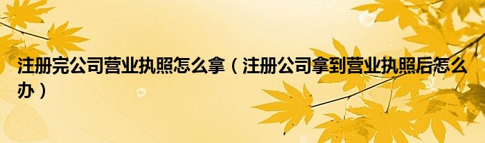 注册完公司营业执照怎么拿（注册公司拿到营业执照后怎么办）