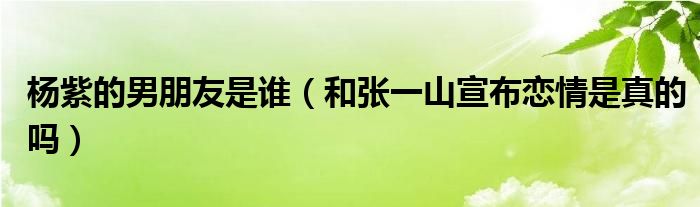 杨紫的男朋友是谁（和张一山宣布恋情是真的吗）